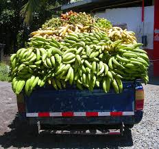 The Banana Truck