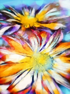 Rainbow-flowers-abstract