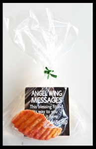 Angel-Wing-Message-3-Orange-in-bag